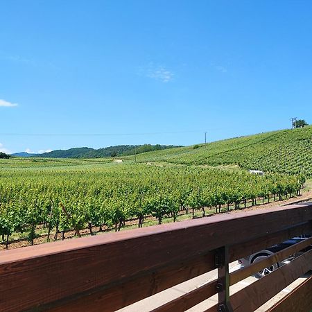 L'Altenberg Bergheim Esterno foto