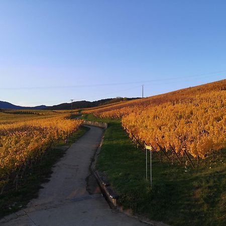 L'Altenberg Bergheim Esterno foto