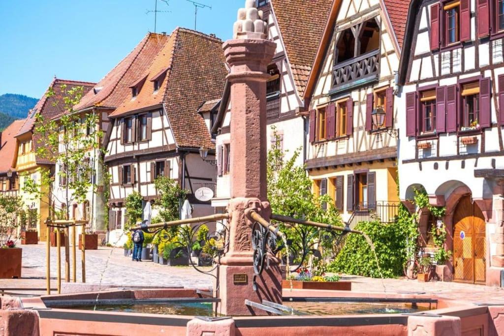 L'Altenberg Bergheim Esterno foto