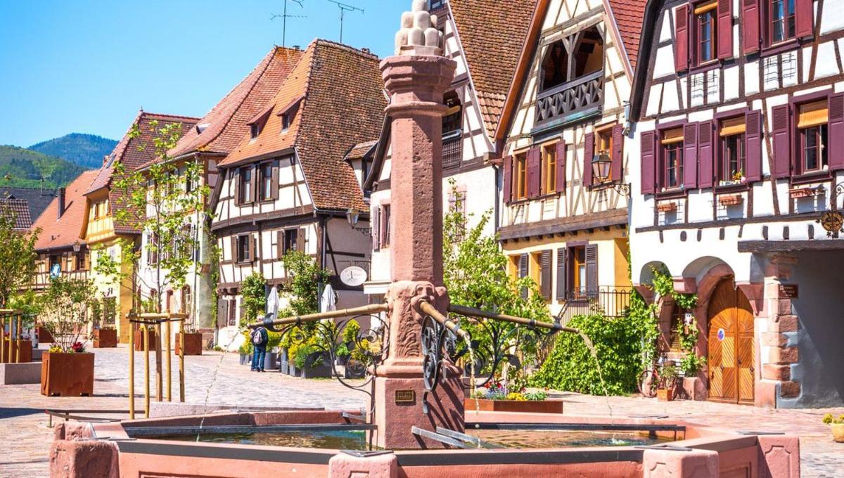 L'Altenberg Bergheim Esterno foto